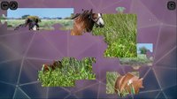 Puzzles for smart: Horses screenshot, image №1703052 - RAWG