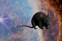 rat (Camwin) screenshot, image №3519138 - RAWG