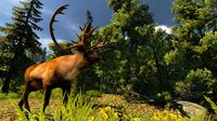 Cabela's Hunting Expeditions screenshot, image №598368 - RAWG