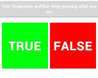 True or False (itch) screenshot, image №1260675 - RAWG