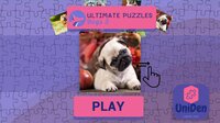 Ultimate Puzzles Dogs 3 screenshot, image №3170240 - RAWG