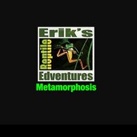 Metamorphosis of Monarch VR 360º Video screenshot, image №2667749 - RAWG