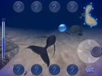 Humpback Whale screenshot, image №2926286 - RAWG