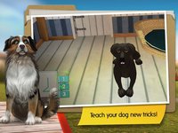 DogHotel: My Dog Boarding Kennel screenshot, image №870187 - RAWG