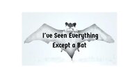 I've Seen Everything Except a Bat screenshot, image №3501958 - RAWG
