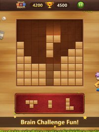 Wood Block Puzzle Classic screenshot, image №1980101 - RAWG