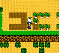 Harvest Moon 3 GBC (2000) screenshot, image №806556 - RAWG
