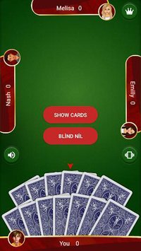 Spades screenshot, image №1345939 - RAWG