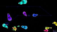 AudioWorm screenshot, image №1112920 - RAWG