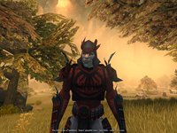 The Chronicles of Spellborn screenshot, image №432951 - RAWG