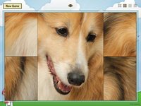 Animal Slide Image Puzzle screenshot, image №2058964 - RAWG