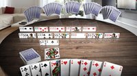 Rummy 3D Premium screenshot, image №1927890 - RAWG