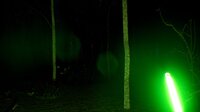 Search 4 Bigfoot screenshot, image №3615803 - RAWG