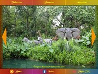 Picture Show Pro screenshot, image №1699785 - RAWG