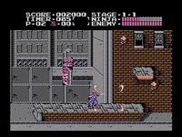 Ninja Gaiden (1988) screenshot, image №259454 - RAWG