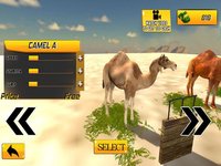 Desert King Camel Race screenshot, image №1989845 - RAWG