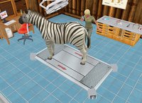 Pet Vet 3D: Wild Animal Hospital screenshot, image №478398 - RAWG