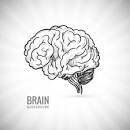 brain box demo screenshot, image №3737583 - RAWG