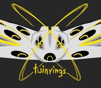 Twinrings screenshot, image №3476115 - RAWG