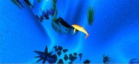 StarFall (itsVehx) screenshot, image №2318037 - RAWG