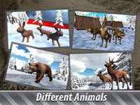 Winter Animal Hunter 3D Full screenshot, image №1786655 - RAWG