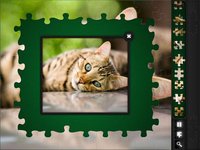 Jigsaw Puzzles: Funny Cats screenshot, image №905077 - RAWG