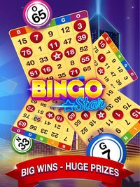 Bingo Star - Bingo Live screenshot, image №1989075 - RAWG