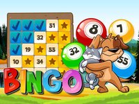 Bingo! Abradoodle Bingo Games screenshot, image №898544 - RAWG