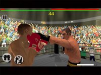 Real 3D Boxing Punch screenshot, image №2112786 - RAWG