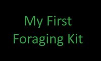 My First Foraging Kit screenshot, image №2949888 - RAWG