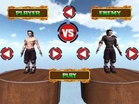 Kungfu Warriors 3D Free screenshot, image №965816 - RAWG