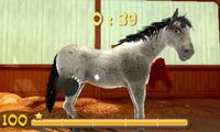 My Riding Stables 3D - Jumping for the Team screenshot, image №243852 - RAWG