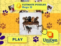 Ultimate Puzzles Dogs 2 screenshot, image №3006044 - RAWG