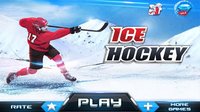 Ice Hockey 3D screenshot, image №1441581 - RAWG