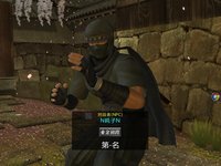 Dead or Alive Online screenshot, image №480072 - RAWG