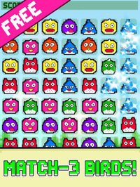 Bird Match-3 - Flappy Blitz Puzzle Game FREE screenshot, image №894609 - RAWG