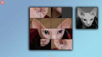 TitTok Kitty screenshot, image №3781914 - RAWG