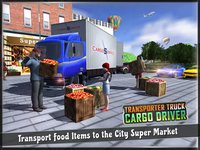 Transporter Truck Cargo Driver screenshot, image №977285 - RAWG