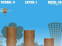 Jump Expert screenshot, image №1923593 - RAWG