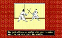 Sword of the Samurai screenshot, image №224395 - RAWG