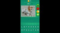 Animalia - The Quiz Game screenshot, image №661146 - RAWG
