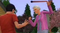 The Sims 3: Generations screenshot, image №574173 - RAWG