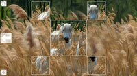Puzzle Art: Horses screenshot, image №3076686 - RAWG