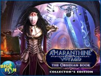 Amaranthine Voyage: The Obsidian Book - A Hidden Object Adventure (Full) screenshot, image №2778735 - RAWG