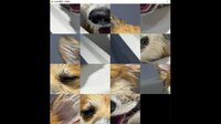 hgmGame-dog screenshot, image №4173675 - RAWG