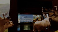 Beyond The Diorama: Caribou World screenshot, image №2676419 - RAWG