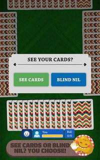 Spades: Free Card Game Classic screenshot, image №1408163 - RAWG