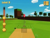 Golf Ball Filp 3D screenshot, image №1676227 - RAWG