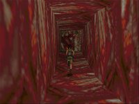 Tomb Raider screenshot, image №320454 - RAWG