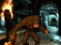 The Elder Scrolls IV: Oblivion Game of the Year Edition screenshot, image №138541 - RAWG